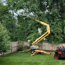 Best Lot and Land Clearing  in Kenton, TN