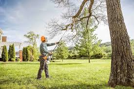 Best Lawn Maintenance Plans  in Kenton, TN